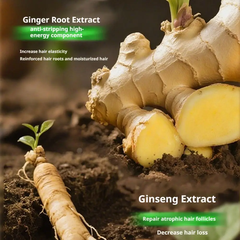 قالب شامبو عشبة أوسما الطبيعي بوليغونوم متعدد الأزهار لنمو الشعر، سماكة سواد وتغذي فروة الرأس ومكافحة تساقط الشعر