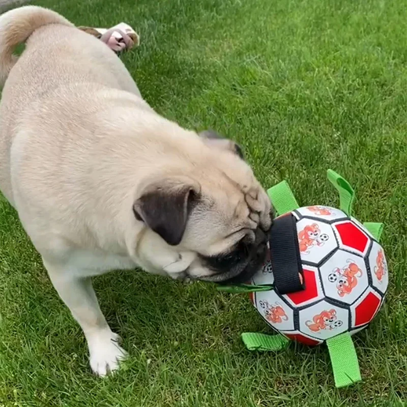 KOMMILIFE Interactive Football Toy For Dogs Outdoor Training Soccer Pet Dog Toys Dog Bite Chew Toy Medium Large Dog Ball Toys view 4