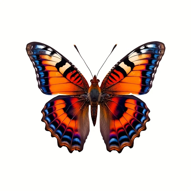 

1 шт. виниловая наклейка с изображением бабочки, водонепроницаемая декоративная наклейка для гладких поверхностей, дерева, пластика, стекла, металла, керамики, автомобиля, мотоцикла