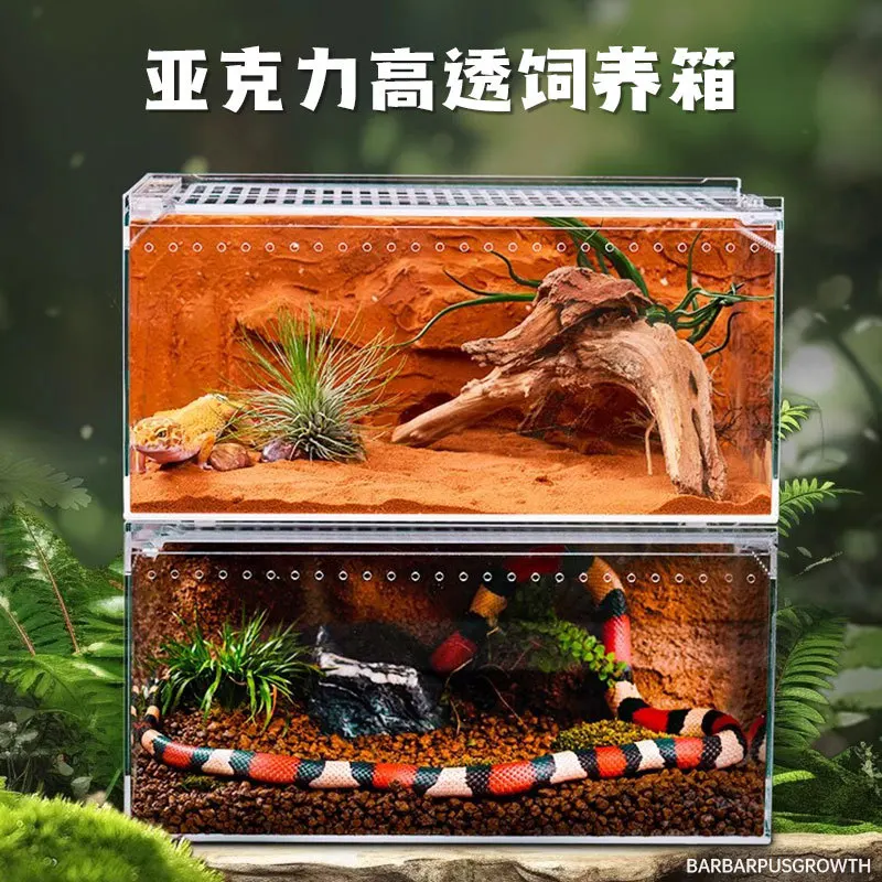 Lizard terrarium, ecological desert landscaping, pet snakes, arboreal horned frogs, turtles, water and land tanks