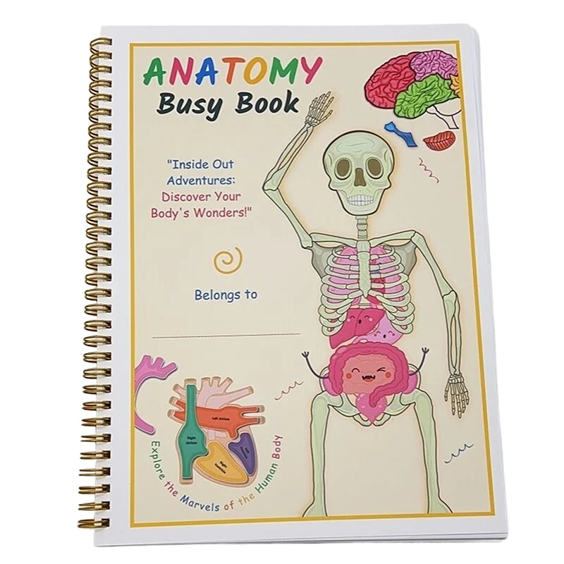 Anatomia umana Libro occupato Organo umano Partita Anatomia interattiva prescolare Libro occupato per bambini Giocattoli Montessori Impara la cognizione