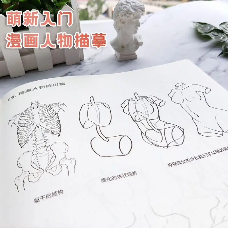 Manga Form Structure depict Sketching book Beautiful Girl Q-Version Character Sketches Beginner\'s Painting Steps Explanation