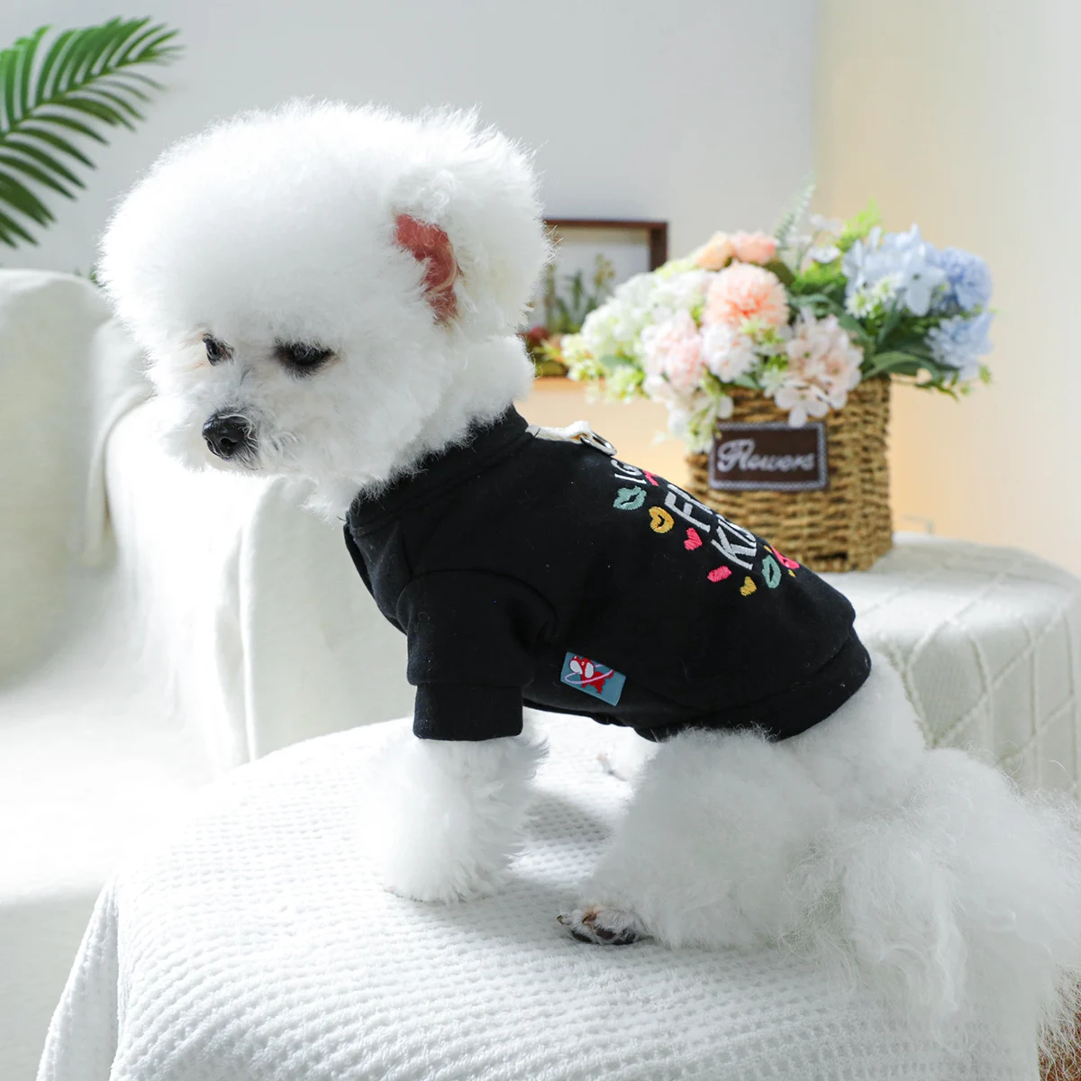 1PC pet clothing dog spring and autumn black velvet kiss jacket traction deduction suitable for small and medium -sized dogs