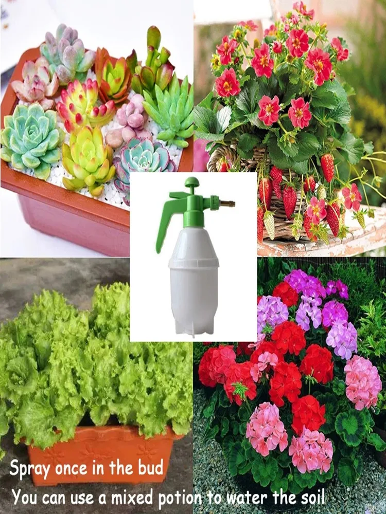 High Quality Low Price B r a s s i n o l i d e  Free Shipping Door to Door Service B R