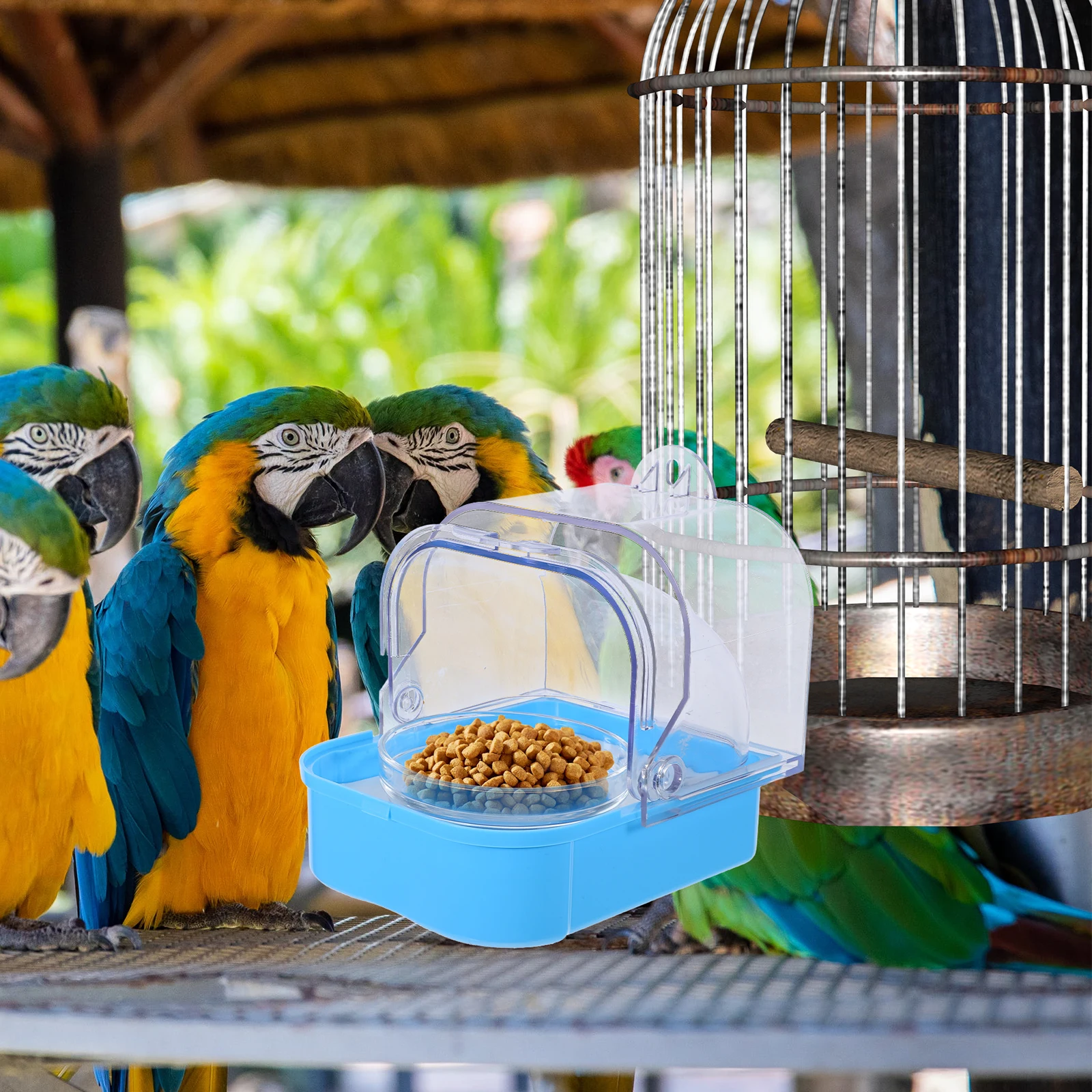

Spill-Proof Cage Side Feeder Large Capacity Parrot Food Tray Separation Design Easy Clean Plastic Automatic Feeding Replacement