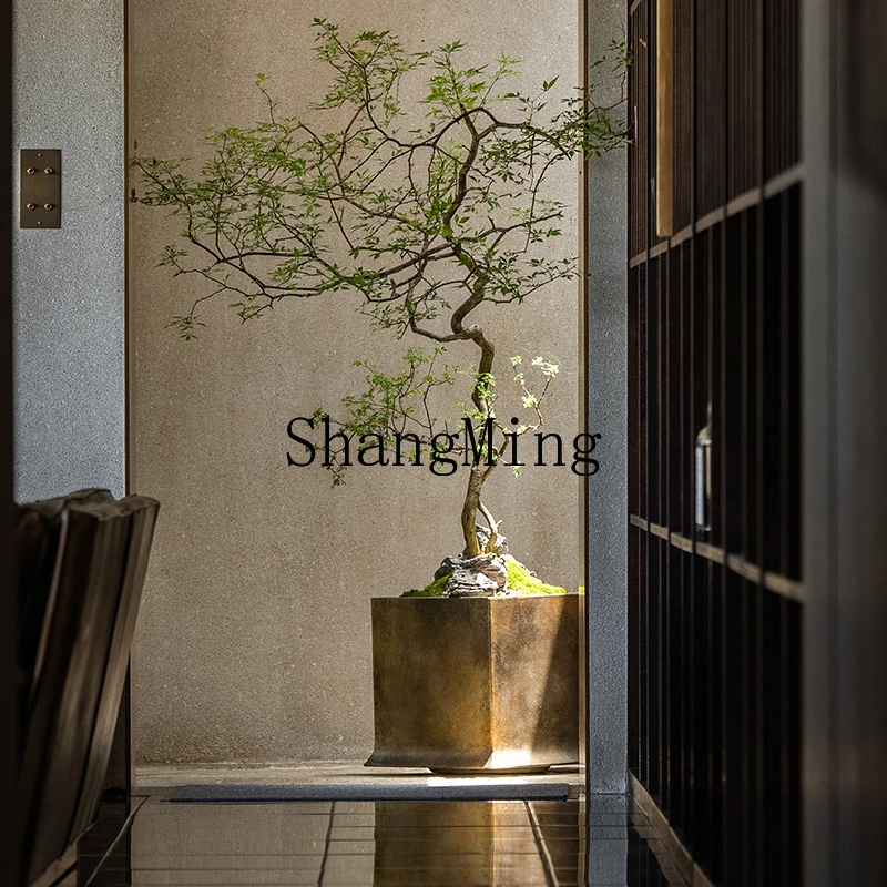 Tmj Decorative Toon… - image