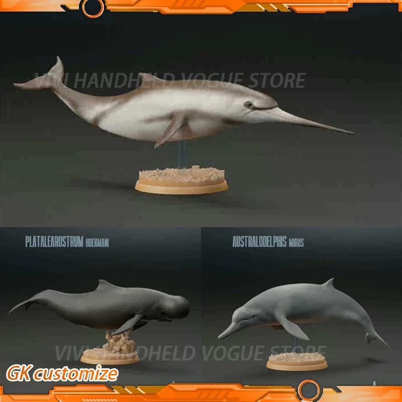 1/35 7cm Ancient Cetaceans Model Toy Ancient Extinct Life Dinosaur Model Gk Customize Eurhinodelphis Lagenorhynchus Australis