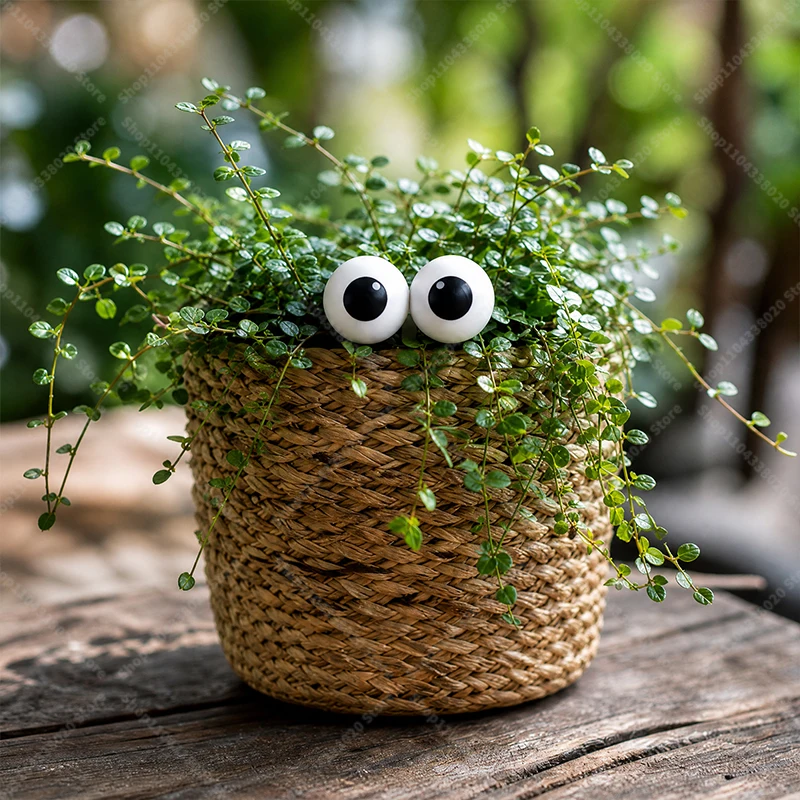 Plant Eyes Stake - Cute Googly Eye Plant Pot Decor, Funny Garden Stake & Quirky Houseplant Accessory
