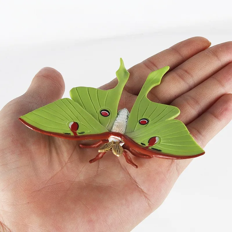 محاكاة دورة الحياة الحيوانات نموذج الأطفال لعبة مونتيسوري الحشرات دورة نمو النبات علم الأحياء لعبة تعليمية TMZ