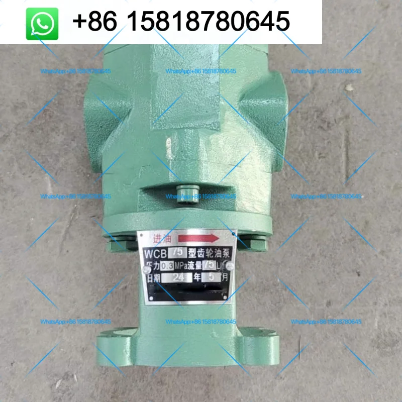WCB-50/30/75/100 Cast Iron Bare Gear Oil Pump(bare pump head)