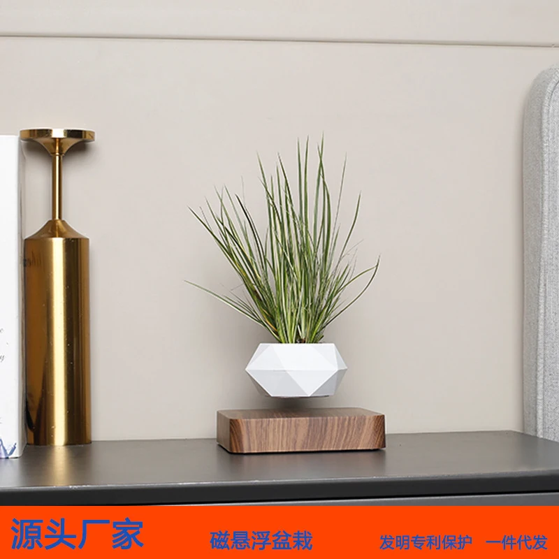 

Suspended Creative Flower Pot, Magnetic Levitation Potted Plant, Floating Air Plant, Decorative Item for Living Room and Office,