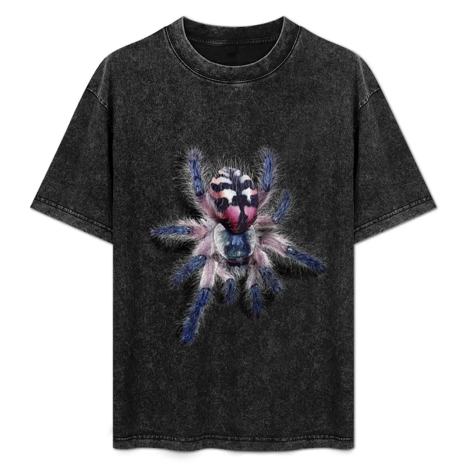 hd-3d-tarantule-typhochlaena-seladonia-t-shirt-blanc-croswit-chemise-homme-football-t-shirt-hommes-graphique-t-shirts-drole