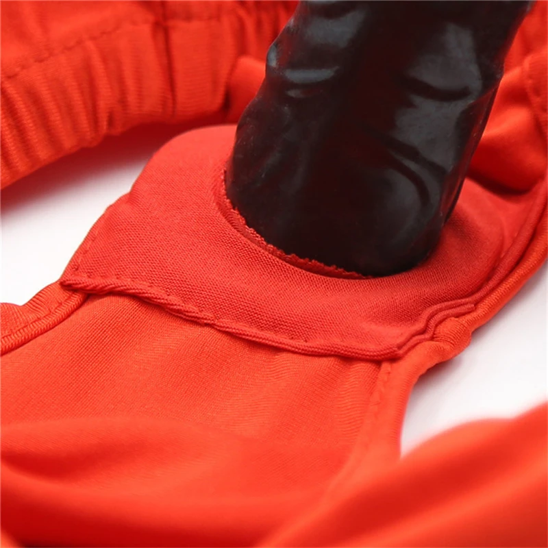 Strap on Dildos Brief Sex Toys for Gay Lesbian Vagina Butt Plug Strapon Harness Chastity Panties BDSM Bondage Anal Sex Products view 2