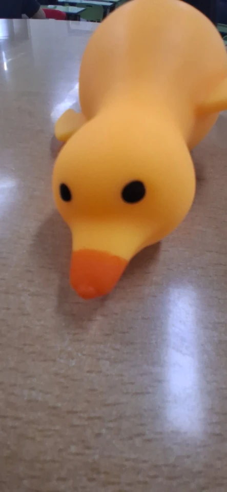 실물 포토 리뷰