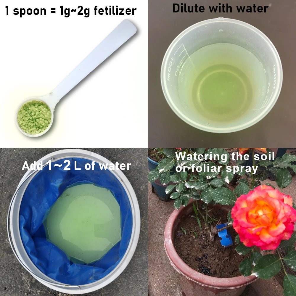 30 جرام من الأسمدة المركبة الخاصة بالورد NPK التغذية المتوازنة يعزز نمو النبات والمزيد من الزهور #3