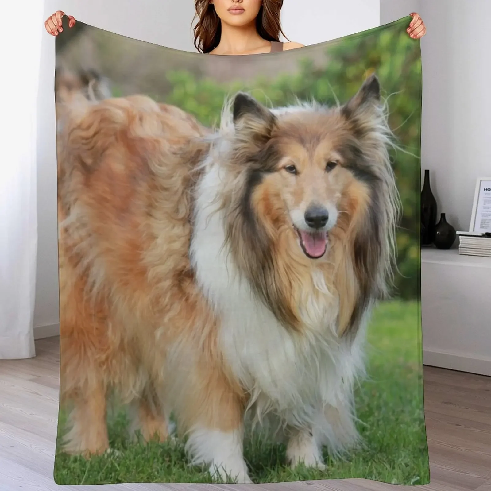 

Sable Rough Collie Throw Blanket Warm Comfortable Blanket for Office Napping