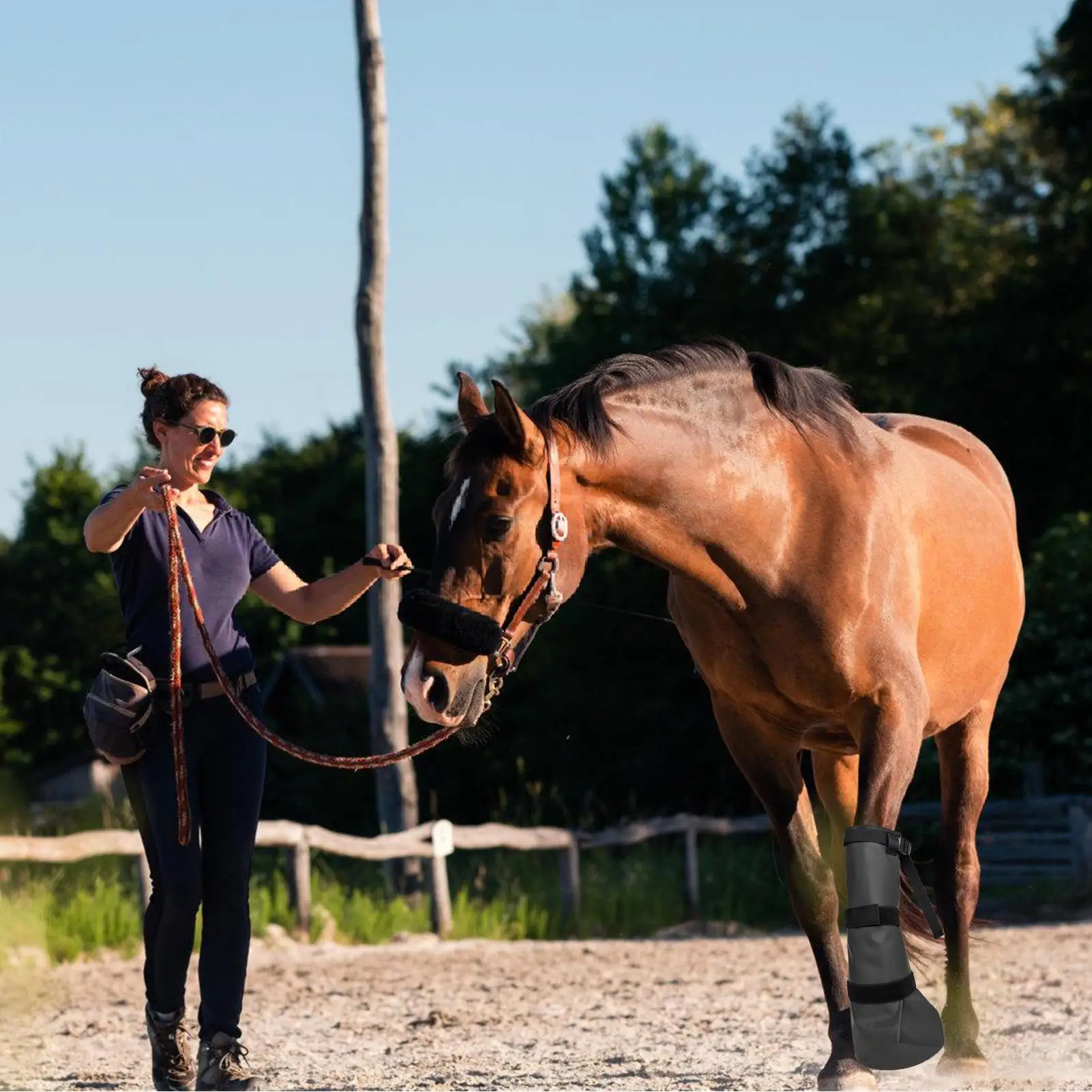 

Ботинки для замачивания копыт, сумка для копыт, регулируемая сумка для замачивания копыт для стабильной полевой подготовки, гонок на открытом воздухе, прогулок