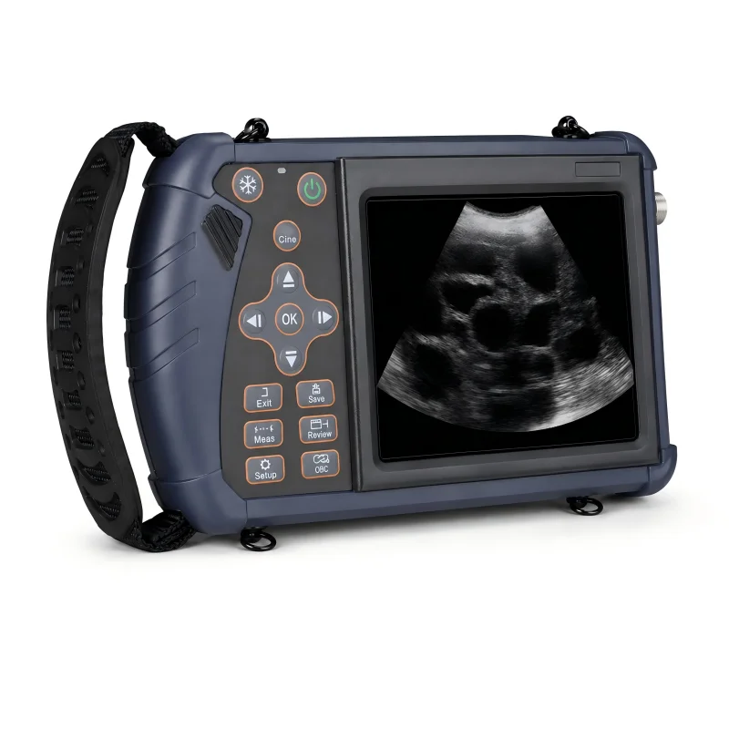 Portable animal ultrasound machine with 5.6-inch display and multiple imaging modes, veterinary ultrasound scanner