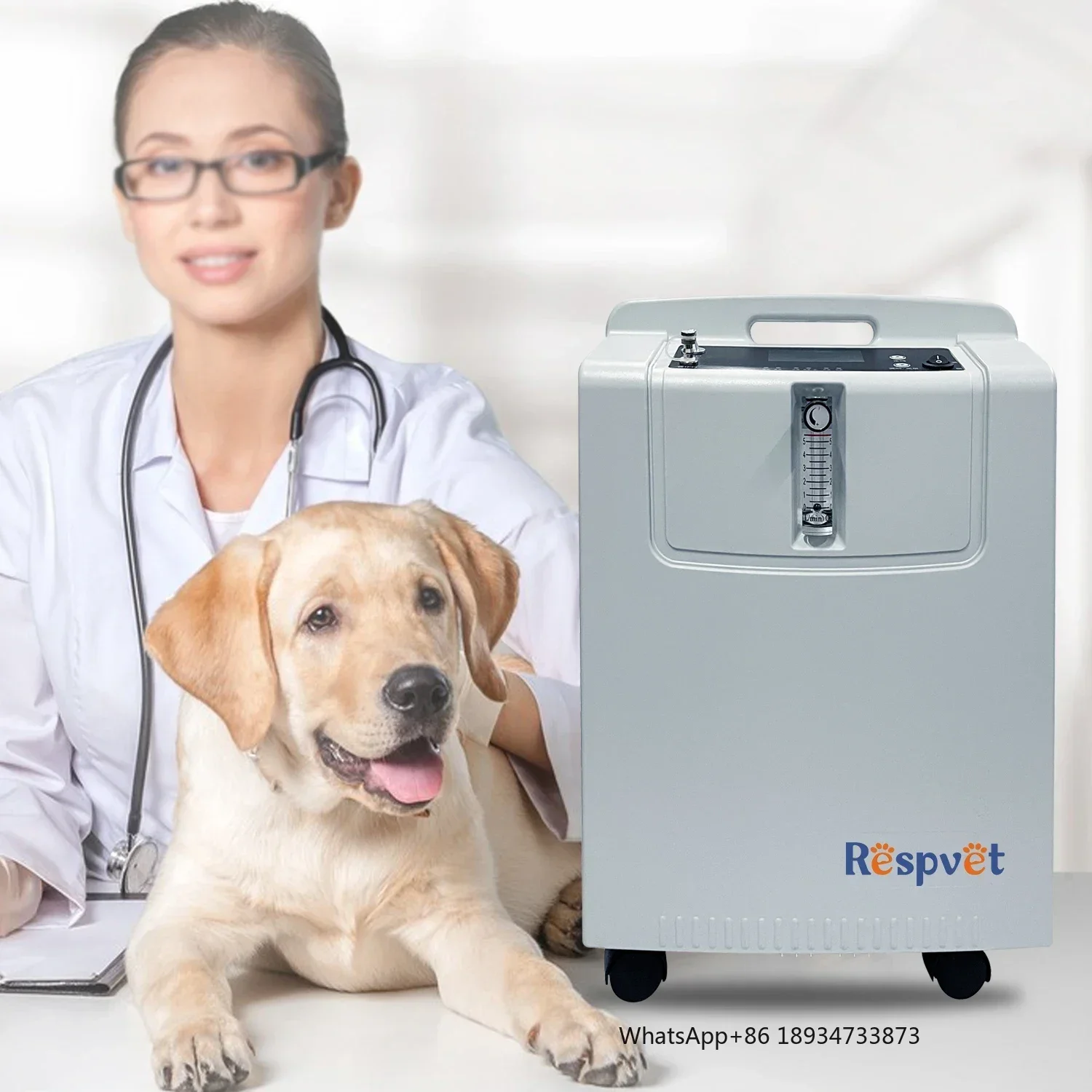 Low-Noise Energy-Saving 5L Pet oxygen- Machine Continuous 24-Hour oxygen- Supply for Optimal Daily Pet Care