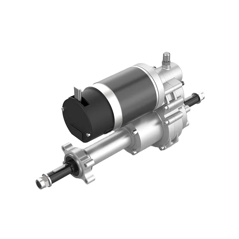 24V 250W Customizable Rear Wheel Drive Axle Electric Scooter Motor Brush/Brushless Permanent Magnet DC Motors