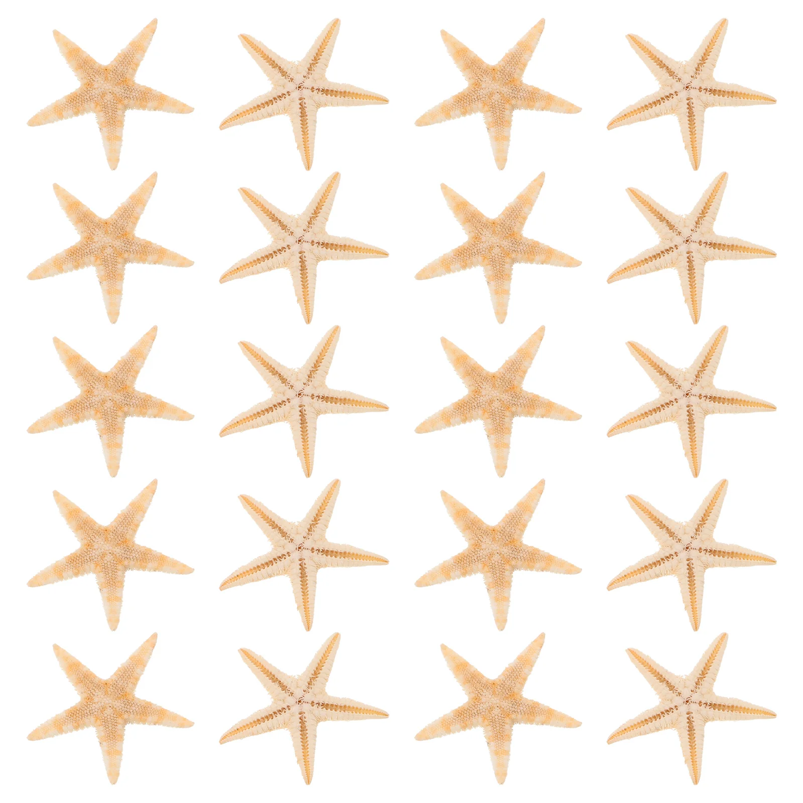 

20 Pcs Dripping Decoration Beach Wedding Coconut Tree Natural Ingredients