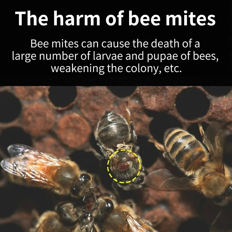 

Портативный испаритель штурмовой кислоты для пчеловодства, нагнетатель пчелиных клещей, инструмент для очистки улья, необходимый набор инструментов для пчеловода для удаления клещей