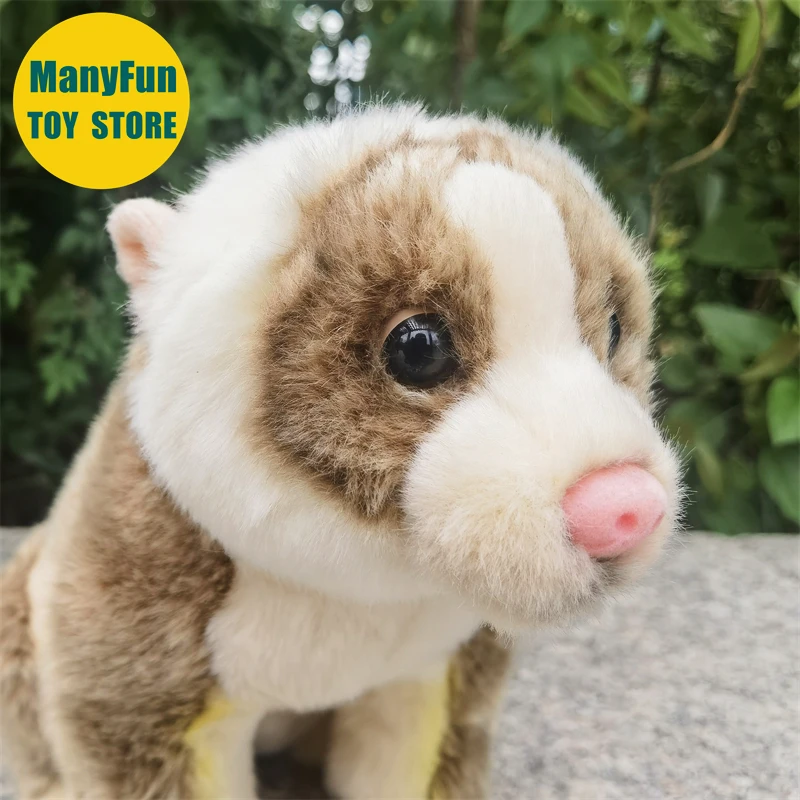 Slow Loris Plüschtier, lebensechtes Loris Stofftier, realistischer Nycticebus, Plüschtier, Affe, Simulationspuppe, Geschenk, Sammler