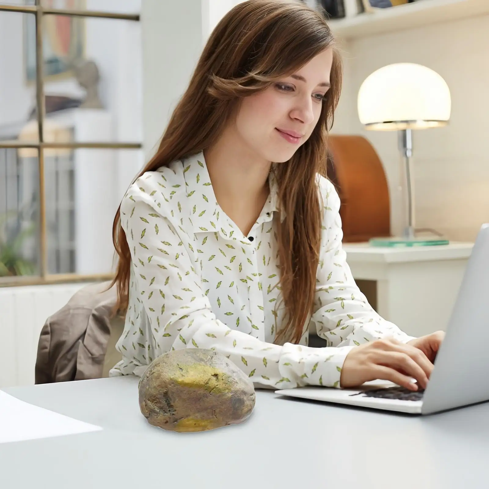 Hiddens-caja de almacenamiento de llaves de repuesto, piedra simulada para jardín al aire libre, roca falsa creativa, ocultación de desviación de vista, caja fuerte para llaves RV