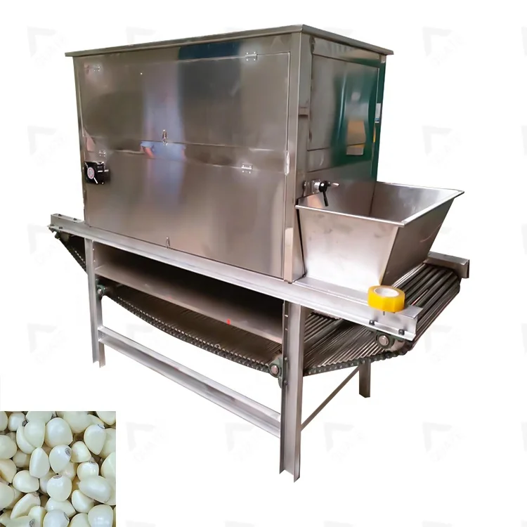 Full Automatic High Quality Machine for Peeling Garlic / Chain Garlic Peeling Machine
