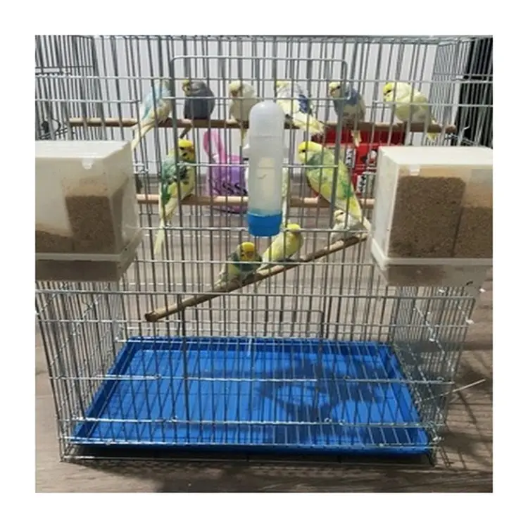 Hot Sale Custom Big Bird Aviary Large Cage on Wheels Outdoor Iron House Bungee Birds Cage