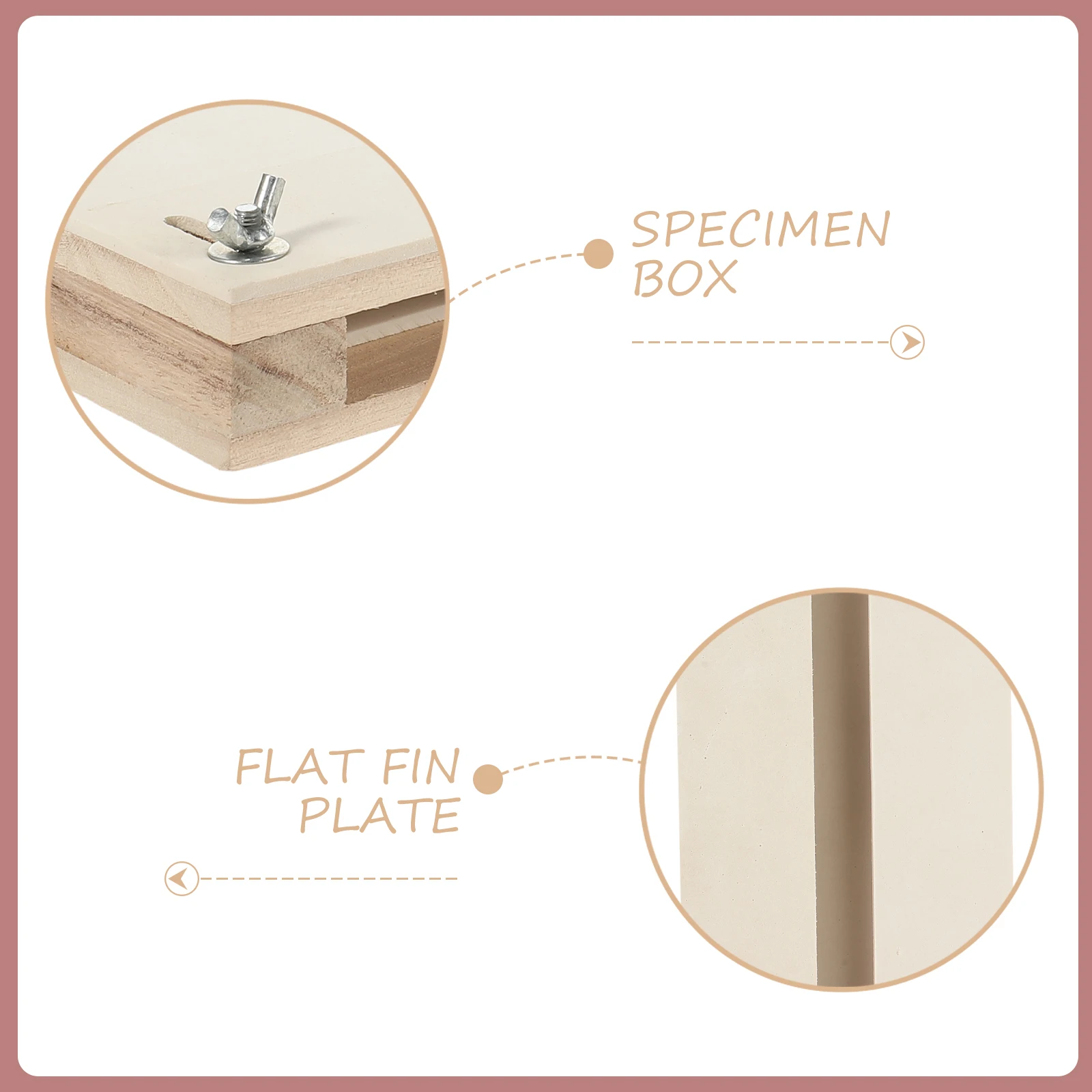 Adjustable Butterfly Wings Spreading Board Insect Specimen Pinning Tool Plastic Insects Board For Butterfly Students