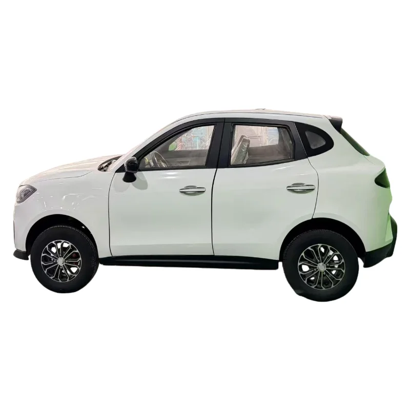 WB  New energy electric four-wheeler, spacious interior, comfortable ride, lead-acid battery range of up to 100 kilometers, suit