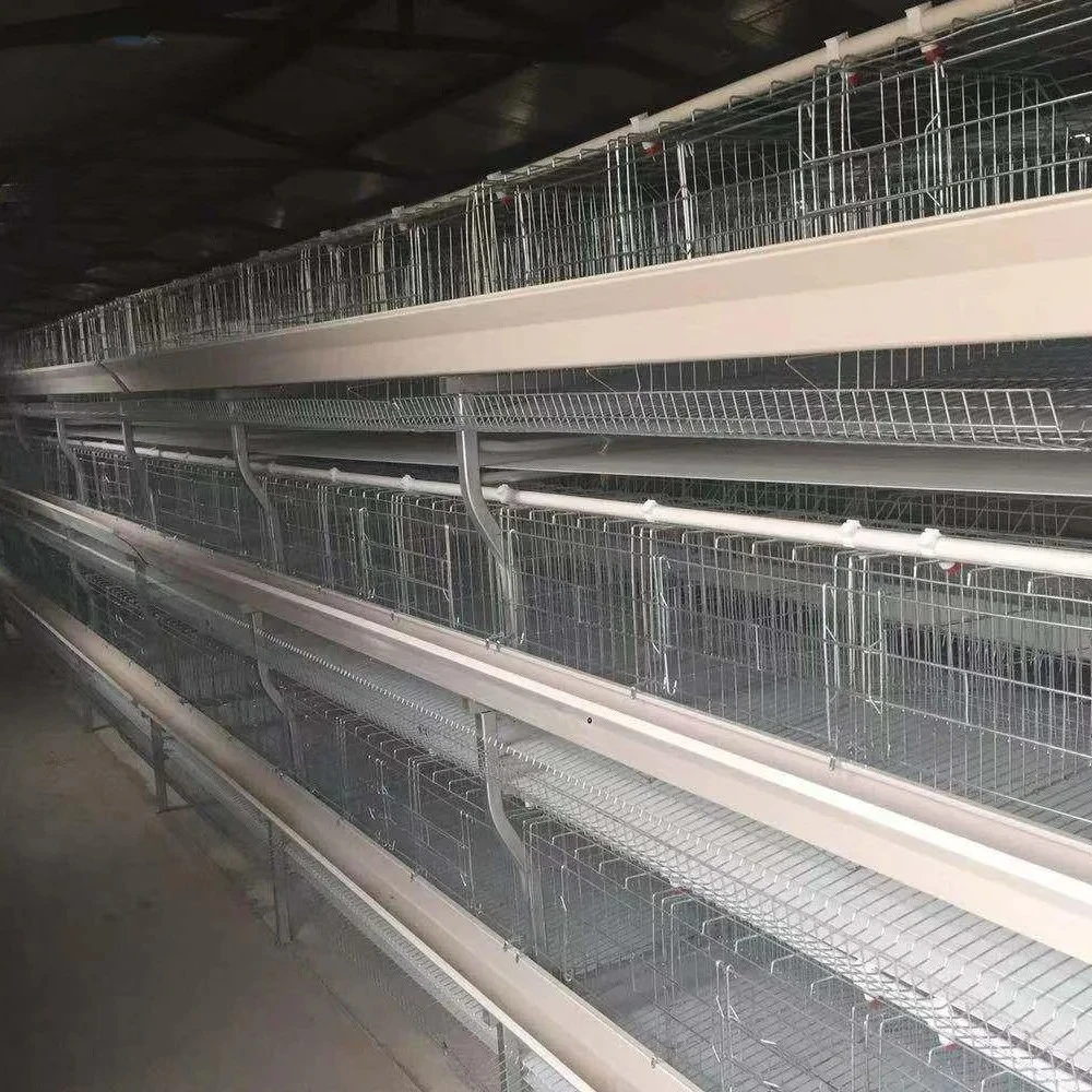 Typ Schicht-Hühnerkäfig zum Verkauf in Pakistan