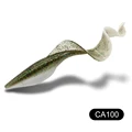CA100