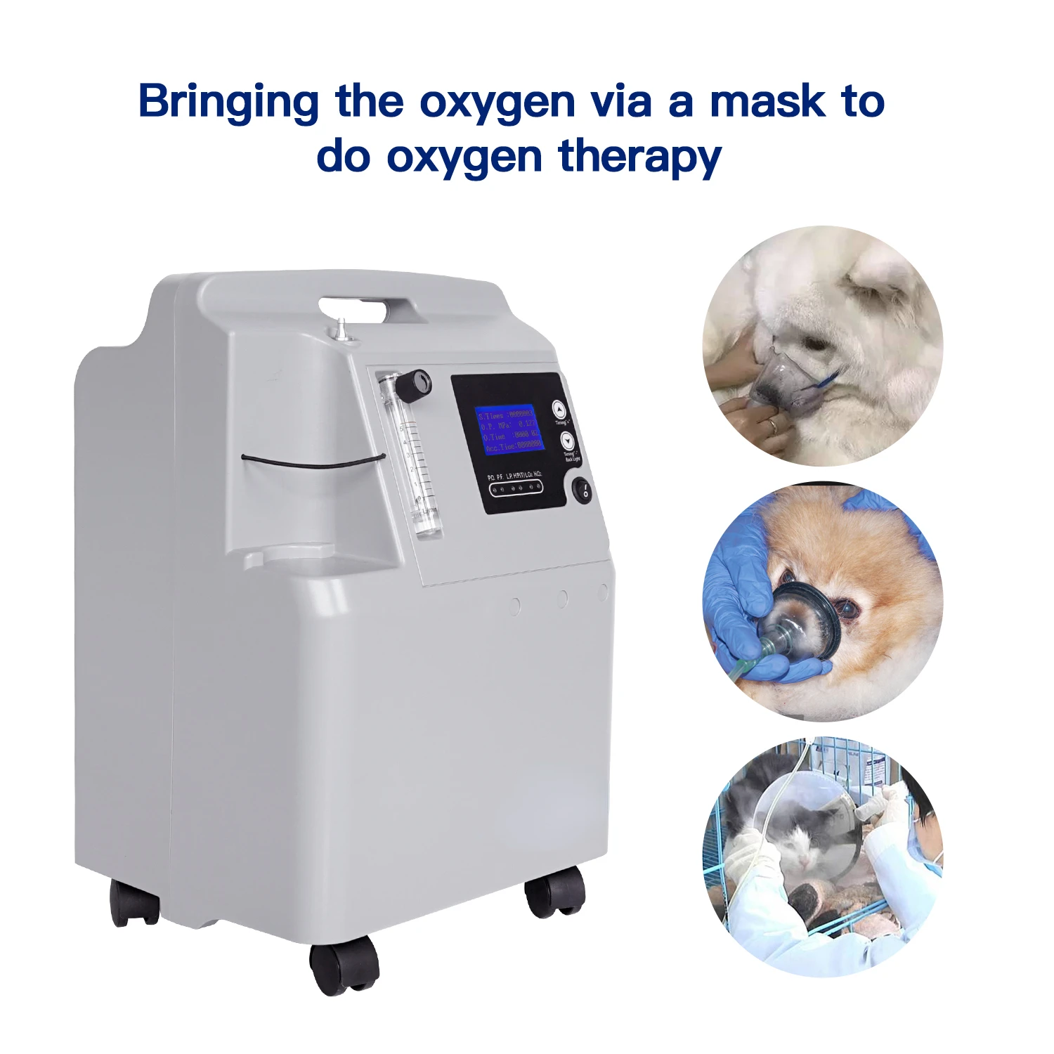 Veterinary Instrument Puppy Incubator Oxygen Generator For Pet Hospital ICU