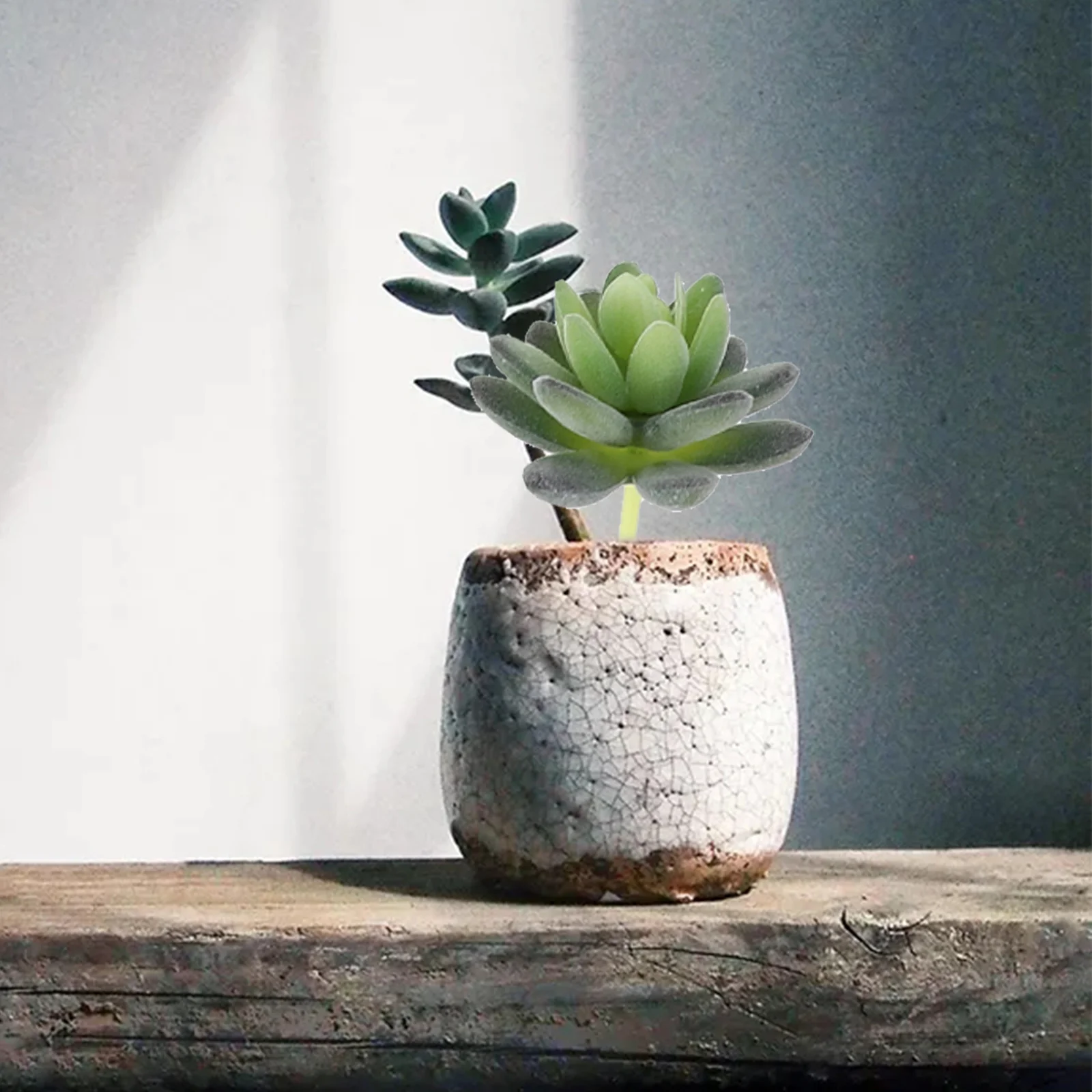 

20Pcs Artificial Mini Succulents Decorative Fake Plants Lightweight for Photo Props Home Office Micro Landscape