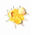 1pc broken egg
