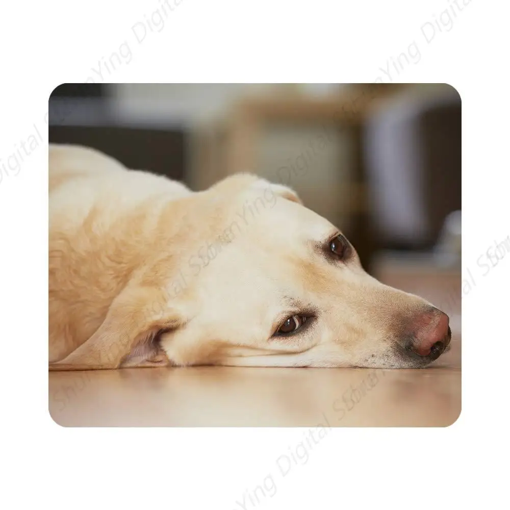 Game Mouse Pad Yellow Labrador Retriever Waiting At Home With Non Slip Rubber Suitable For Computers Laptops Offices Mouse Pads