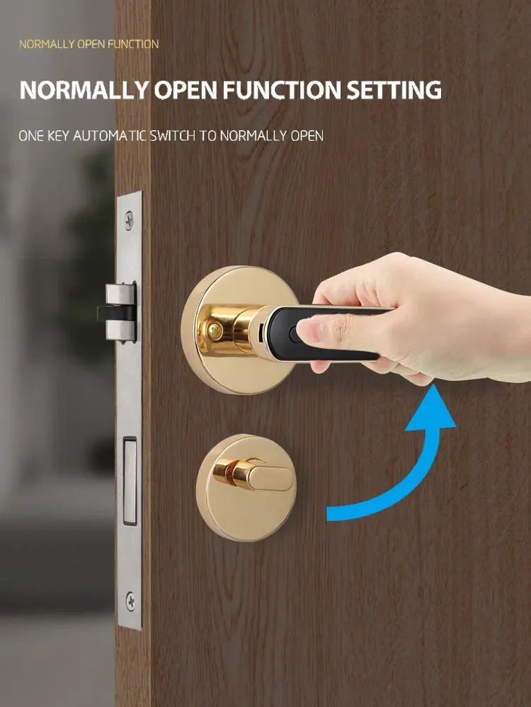 Brazil split lever smart door lock Ttlock Tuya BLE Euro mortise 72mm 85mm Biometic Fingerprint Password Key handle door lock