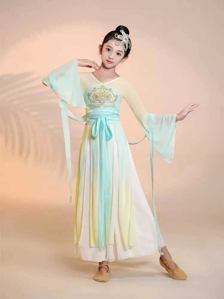 Vêtements de danse classique pour la pratique de la performance professionnelle, vêtements de danse nationaux Yangko féminins, costume chinois des prHub élégant