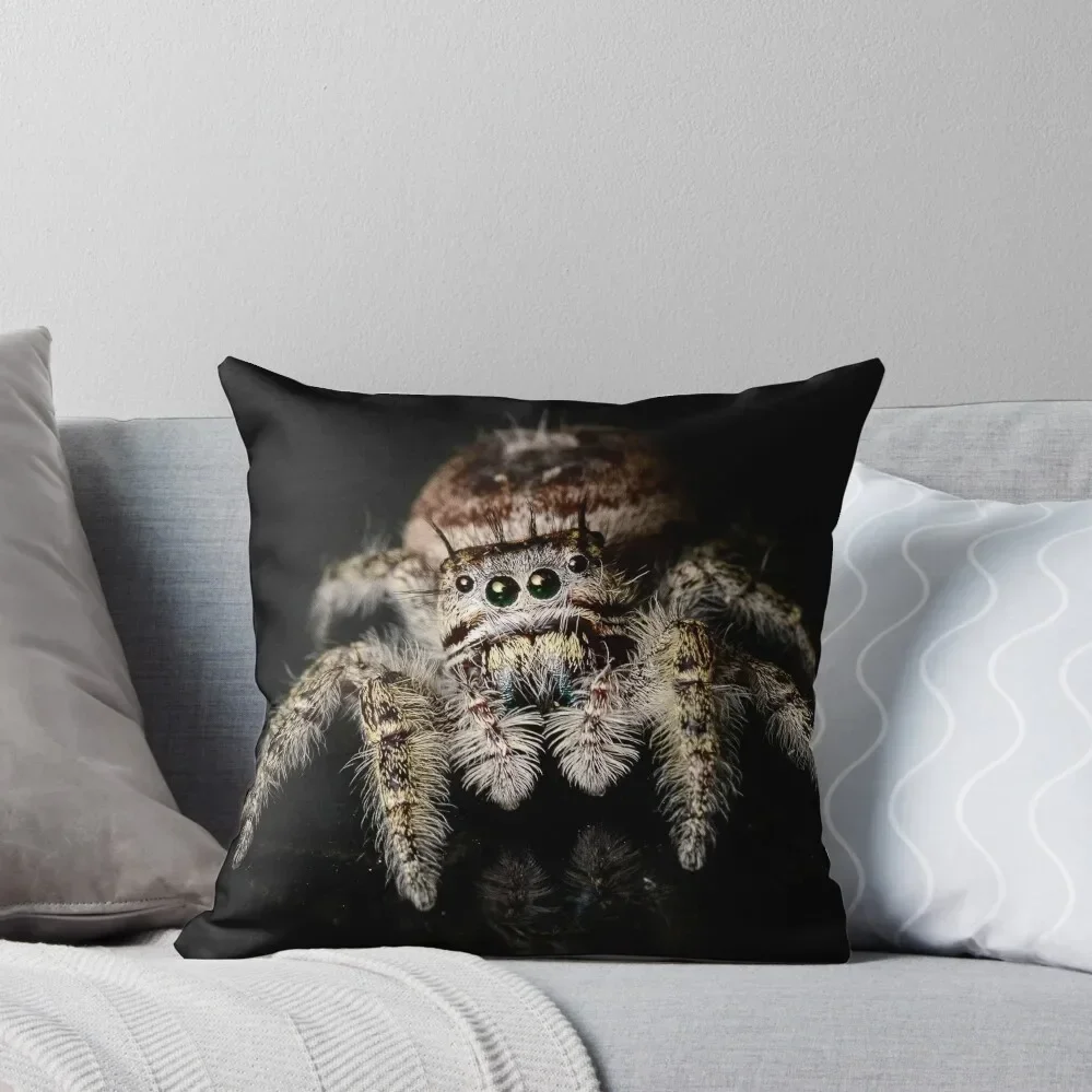 Putnam's Jumping Spider (Phidippus putnami) Throw Pillow Plaid Sofa Throw Pillow Pillow