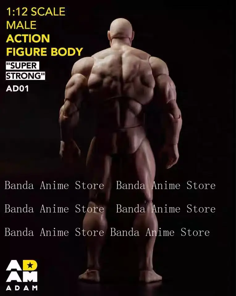 【Pré-vente】 Jouets pour hommes Adam 1/12 corps articulé musculaire fort Ad01 6 ''Super Flexible bande dessinée soldat figurine corps poupée cadeaux