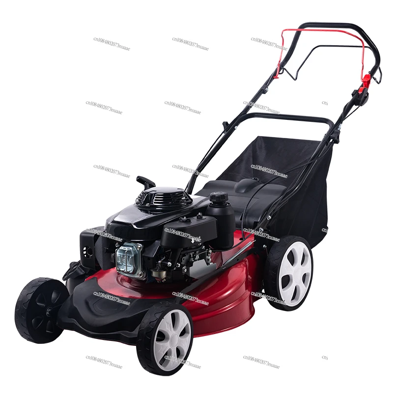 Gasoline lawn mower