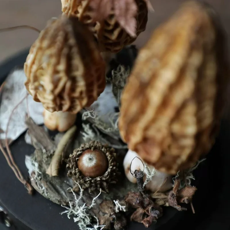 Żywica Grzybowa Modelowanie Dekoracje na Biurko Personalizowane Ręcznie Robione Ekskluzywne Personalizacja Kreatywne Prezenty Rękodzieło dla Dzieci Zabawka Kreatywna