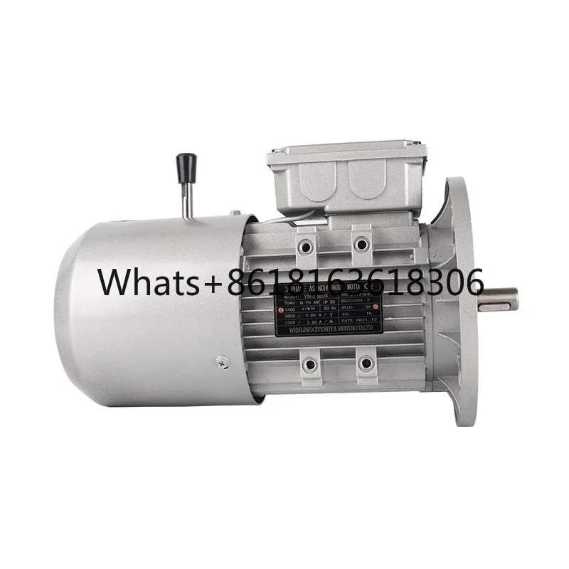 

High Efficiency 3-Phase 380V AC Aluminum Motor Three Phase Asynchronous Motor With Brake