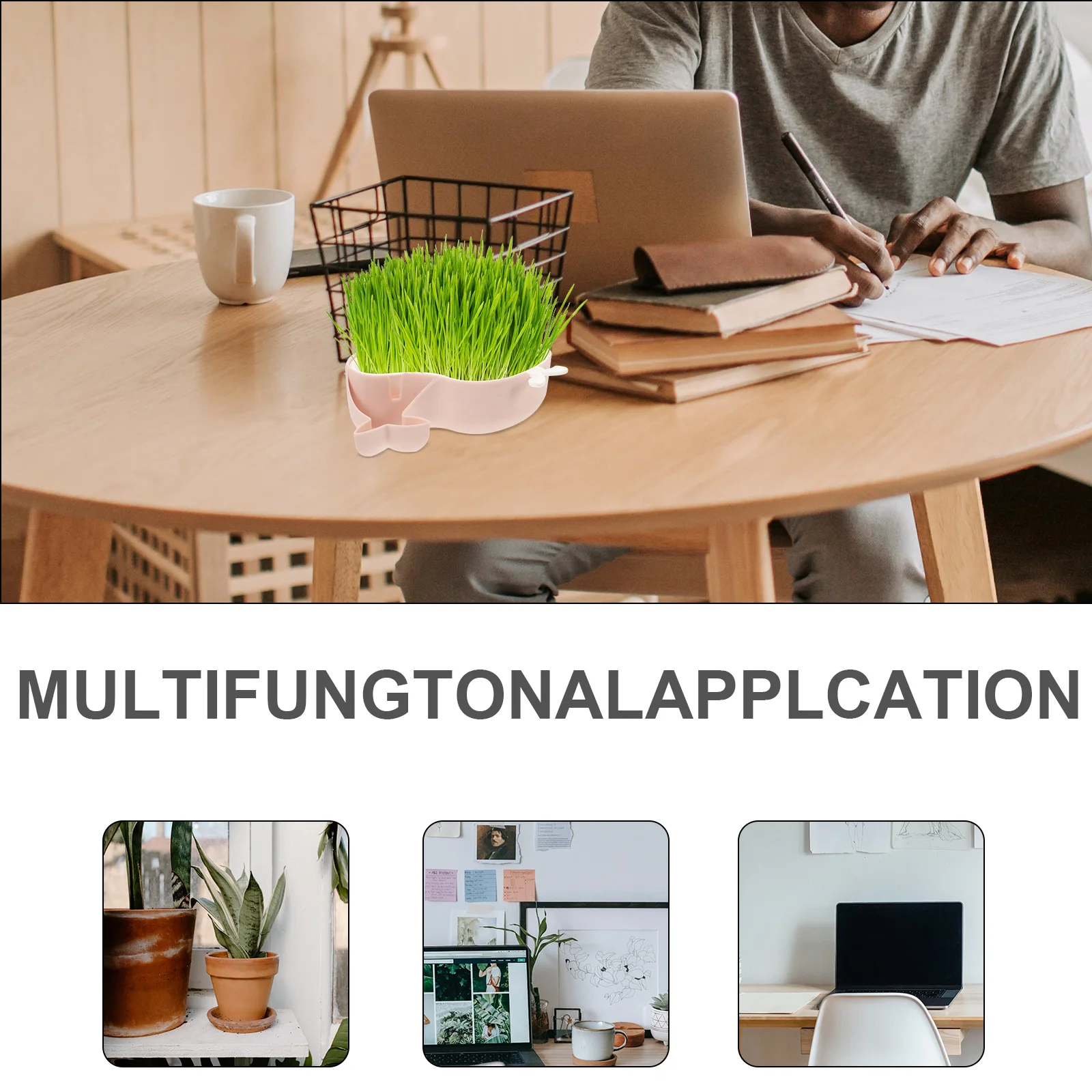 

Cat Grass Planting Box Planter Hydroponic Container for Indoor Seed Nursery Plastic Household