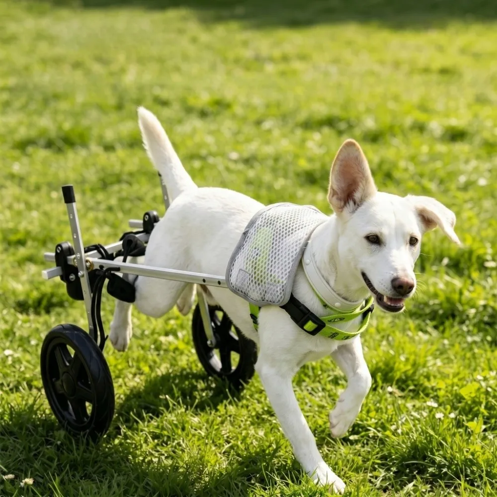 Adjustable Dog Wheelchair Breathable Comfort Harness Pet Rehabilitation Cart Durable Rear Leg Support Disabled Pet Walking Aid