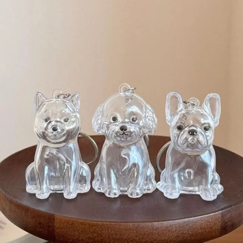 

E8BD Elegant Pet Loss Memorial Keychain Features Visible Hair Storage Box Case