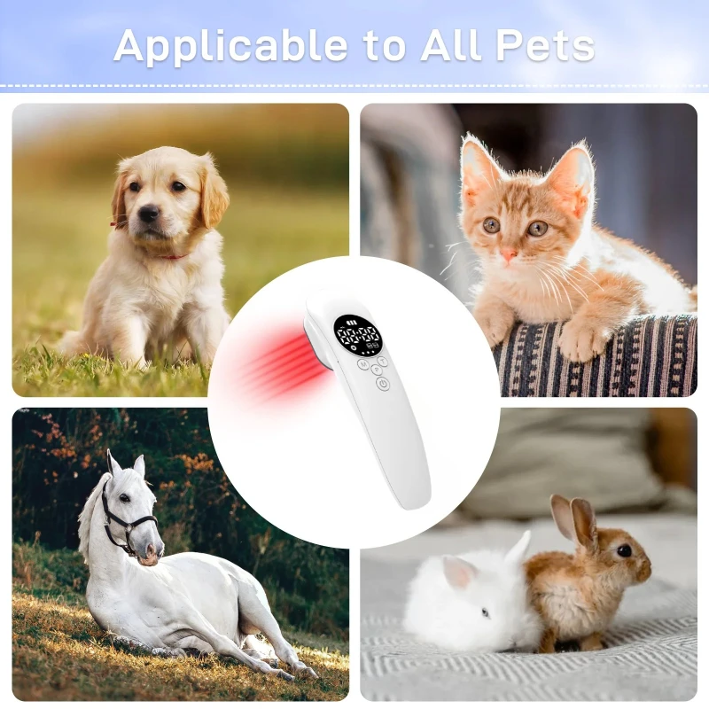 

Cold laser therapy 650nm 808nm household medical device pain relief anti-inflammation arthritis treatment for pets dog cat