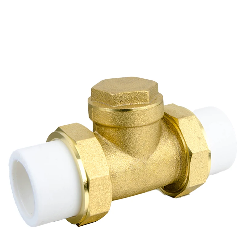 

PPR Brass Horizontal Check Valve With Double Movable Joints Water Check valves For Prevent Backflow